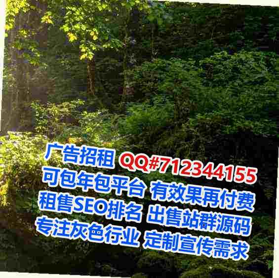 武城代妈汽车维修有限公司